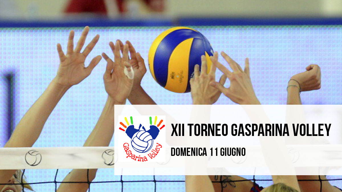 gasparina volley